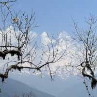 Mardi Himal Trek ..