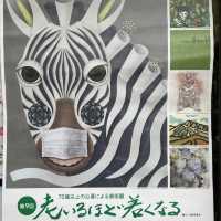 【長野県/松本市美術館】