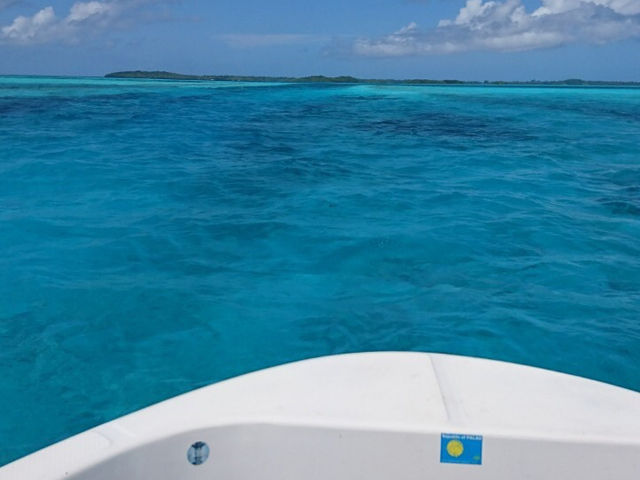 Koror @ Palau 🪸