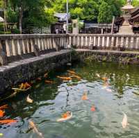เทศกาลดอกไอริส 花じょうぶ祭