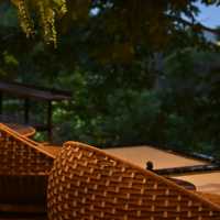 Tree monkeys ภูเก็ต คาเฟ่ฮิบใจกลางป่า