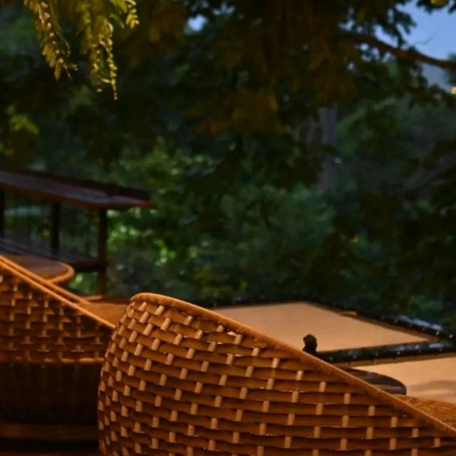 Tree monkeys ภูเก็ต คาเฟ่ฮิบใจกลางป่า