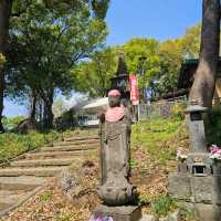 東京必到景點之上野恩賜公園