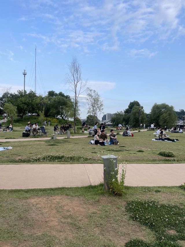 한강공원 중 여유롭고 매력있는 곳 “노들섬”