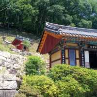 삼존불과 쌍거북바위에 설화가 팔공산 은해사에잇엇다
