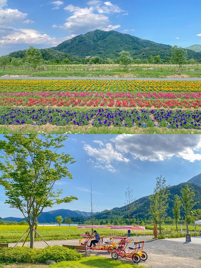 포천 꽃구경 나들이 코스 🌿봄꽃정원