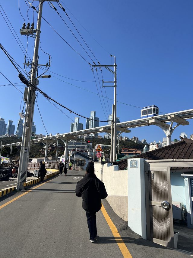 陽光明媚的青沙浦
