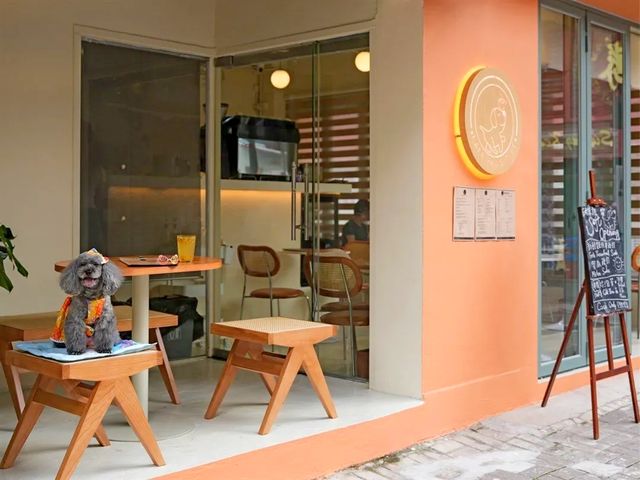 【西貢新開打卡cafe🍵~Cafe Pawsitive🐶】
