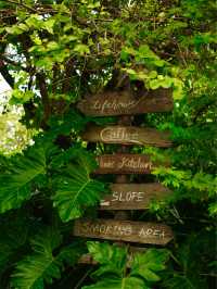 คาเฟ่กลางสวนดอกไม้ Lifehouse Cafe ฉะเชิงเทรา