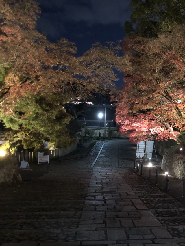 【京都】こんな大仏見たことない！アフロ大仏をご紹介