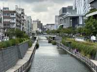 東京・押上。スカイツリーを見上げる『北十間川』と『墨田区おしなり公園』 