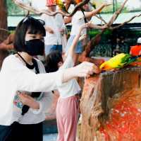 泰國Ayutthaya大城動物園 超近距離與各種動物拍照