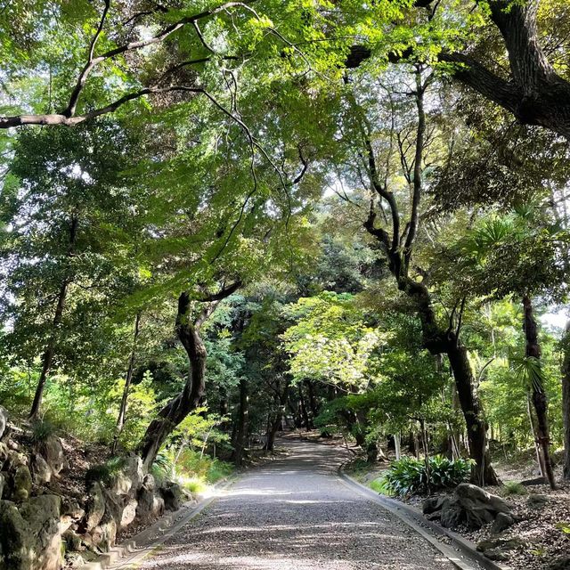 花與和諧的完美結合！舊古河庭園🌹🏰🌿