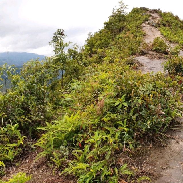 Sống Lưng Khủng Long Yên Bái