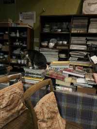 📚深圳打卡書店 - 舊天堂書店📖