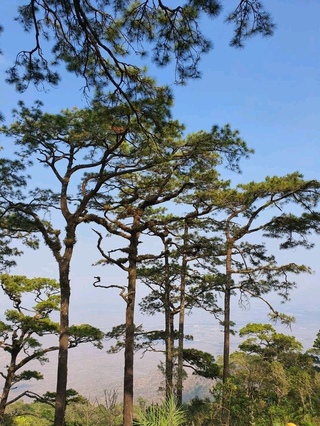 ⛰️ดอยหลวงตาก