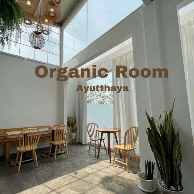 Organic Room คาเฟ่อยุธยาสายคลีน