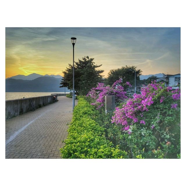 週末坪洲遊。南灣村