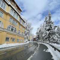 Winter's Embrace: St. Moritz Chronicles