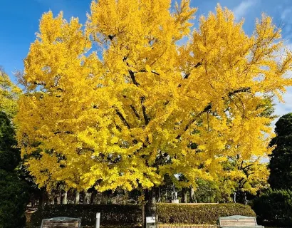 京都府立植物園