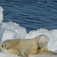 North Pole 90° unforgettable holiday