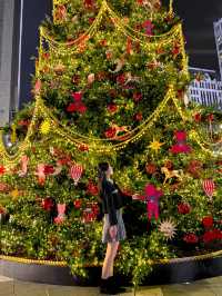 지금 가장 예쁜 크리스마스 핫플 소개해요!🎄❤️