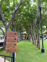 Campsite เขายายเที่ยง 🌴🌴🌴