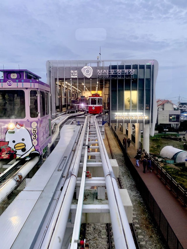 부산 필수코스 블루라인파크🚃🩷