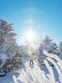 새하얀 눈꽃의 천국 발왕산 상고대❄️