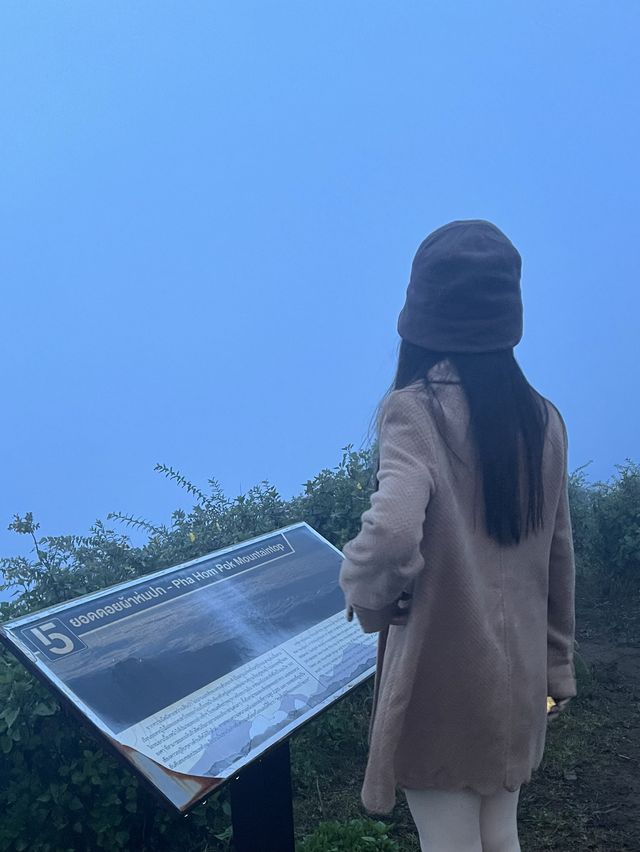 นักผจญภัยตัวน้อย💕🌳
