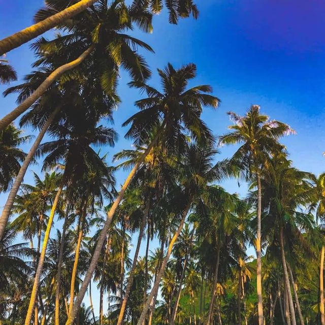 Đảo Nam Du, Phú Quốc