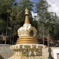 Bhutan Bliss: Buddha's Tranquil Embrace