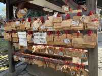 วัดโคฟุคุจิ เจดีย์ 5 ชั้น จ.นารา Kofukuji Temple