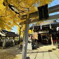 兩個東京巿區隱敞超美銀杏神社