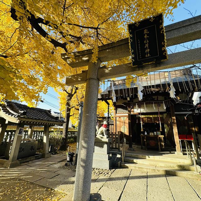 兩個東京巿區隱敞超美銀杏神社
