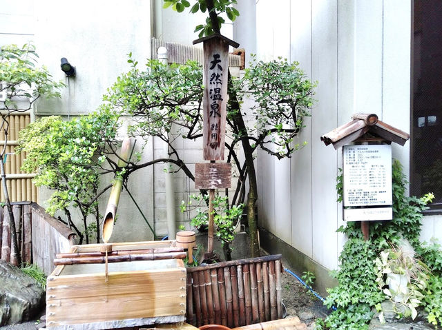 แช่ออนเซ็นชมวิวภูเขา รร. Sangitei Honkan จ.นากาโนะ