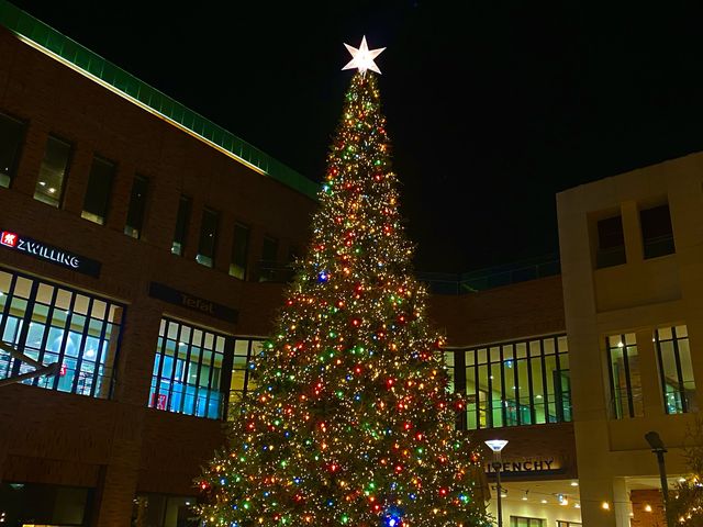 크리스마스 분위기 제대로 느낄 수 있는 곳, 파주 롯데프리미엄아울렛🎄