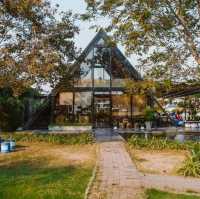 คาเฟ่มินิมอล มีน้องปลาคาร์ป