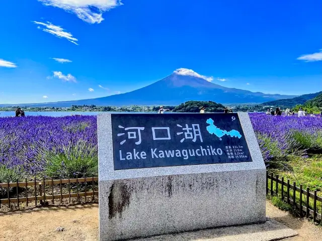 The best view of Mt. Fuji