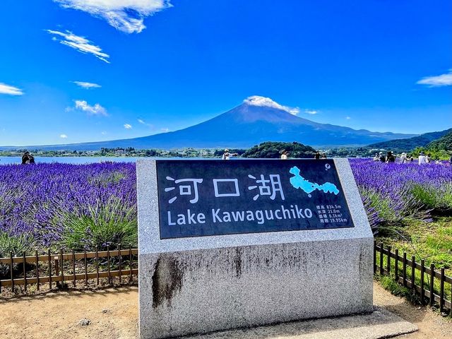 The best view of Mt. Fuji