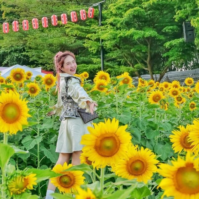 คาเฟ่เมืองกาญจน์ อลังการมาก! ถ่ายรูปสวยทุกมุม