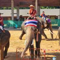 Elephant World