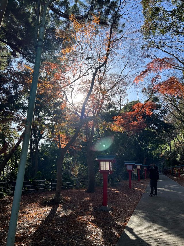 靈氣滿山 高尾山半日遊散策