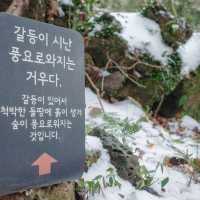 ๊ฒจ์ธ์ ์ด๋ก์ด๋ก ์ฒ, ํ์์ฒ