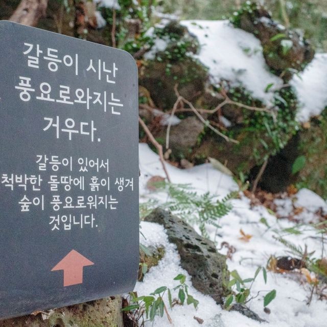 ๊ฒจ์ธ์ ์ด๋ก์ด๋ก ์ฒ, ํ์์ฒ ๊ฒจ์ธ์ ์ด๋ก์ด๋ก ์ฒ, ํ์์ฒ