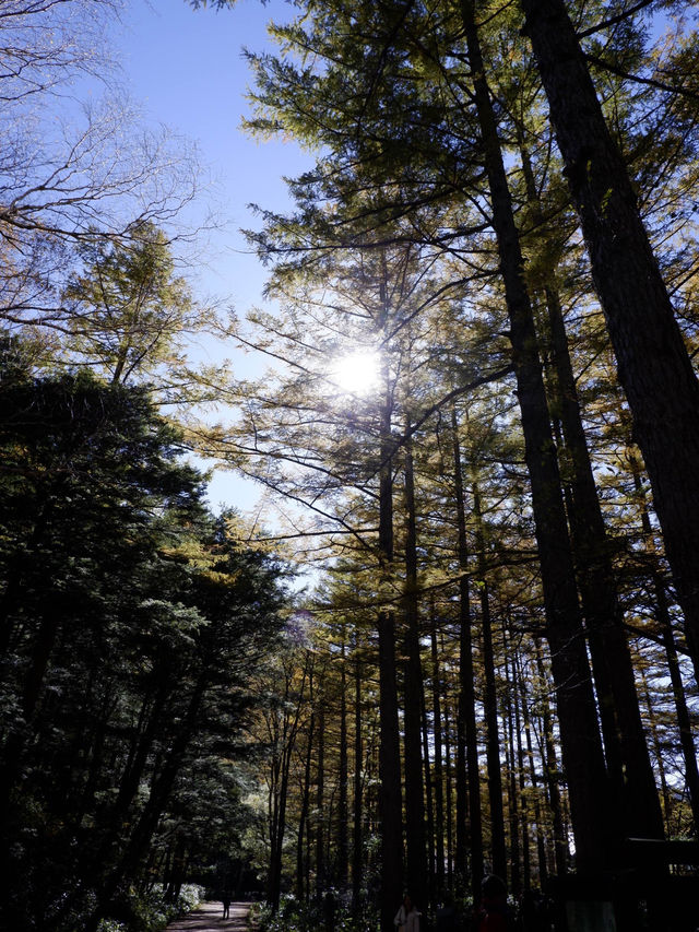 東京近郊，登山者必去上高地