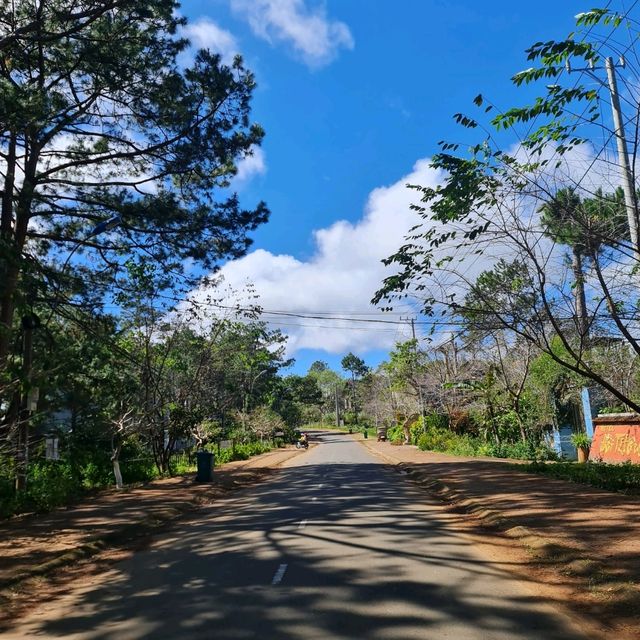 Du lịch Măng Đen