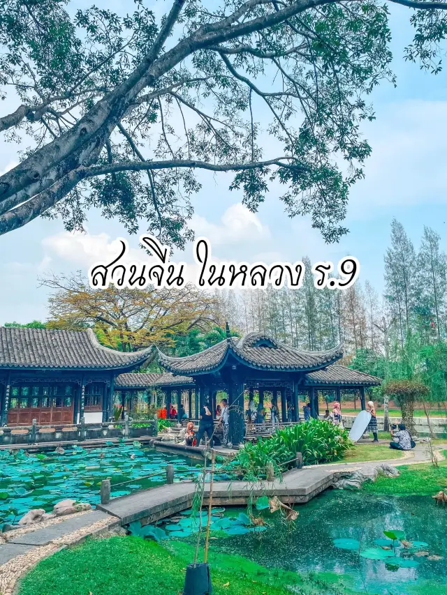 #ที่เที่ยววาเลนไทน์  สวนจีน ในหลวง ร.9