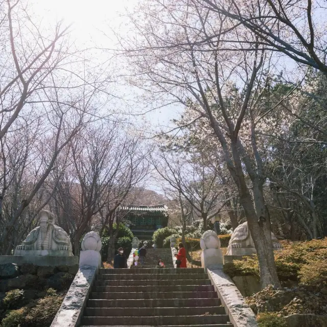 남해의 시원한 전경을 볼 수 있는 여수 향일암