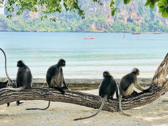 รายาวดี รีสอร์ทระดับ 5 ดาว จังหวัดกระบี่
